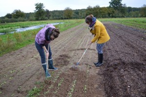 Workshop au Domaine de Toury    